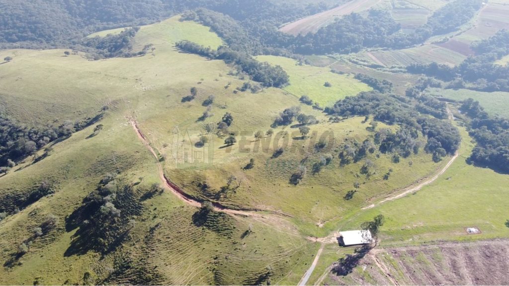 FAZENDA CINEMATOGRÁFICA DE 70 ALQUEIRES C/ 09 SUÍTES – 30 minutos de Sorocaba