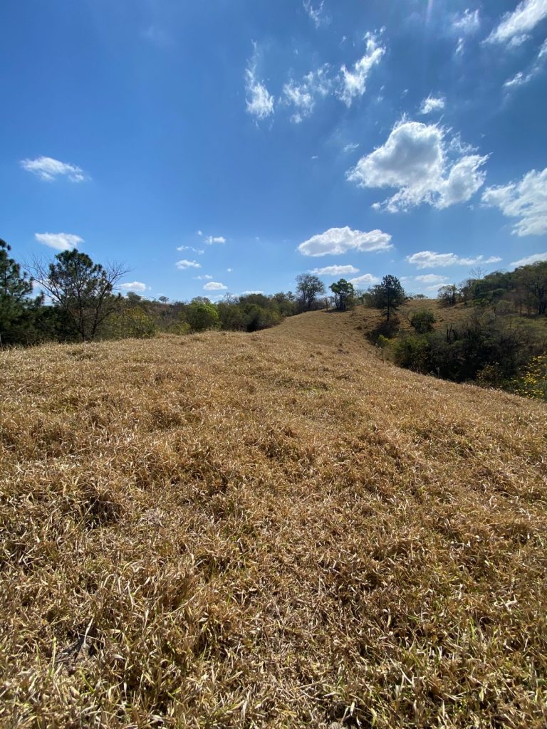 Área residencial e comercial 53.000m² – Brigadeiro Tobias, cidade de Sorocaba /SP.