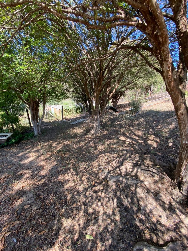 Área residencial e comercial 53.000m² – Brigadeiro Tobias, cidade de Sorocaba /SP.