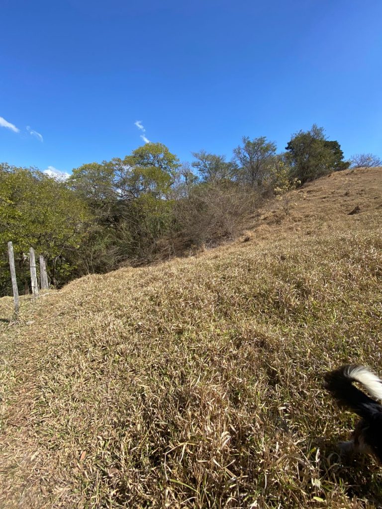 Área residencial e comercial 53.000m² – Brigadeiro Tobias, cidade de Sorocaba /SP.