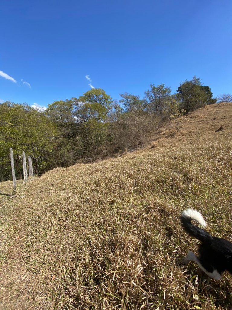 Área residencial e comercial 53.000m² – Brigadeiro Tobias, cidade de Sorocaba /SP.