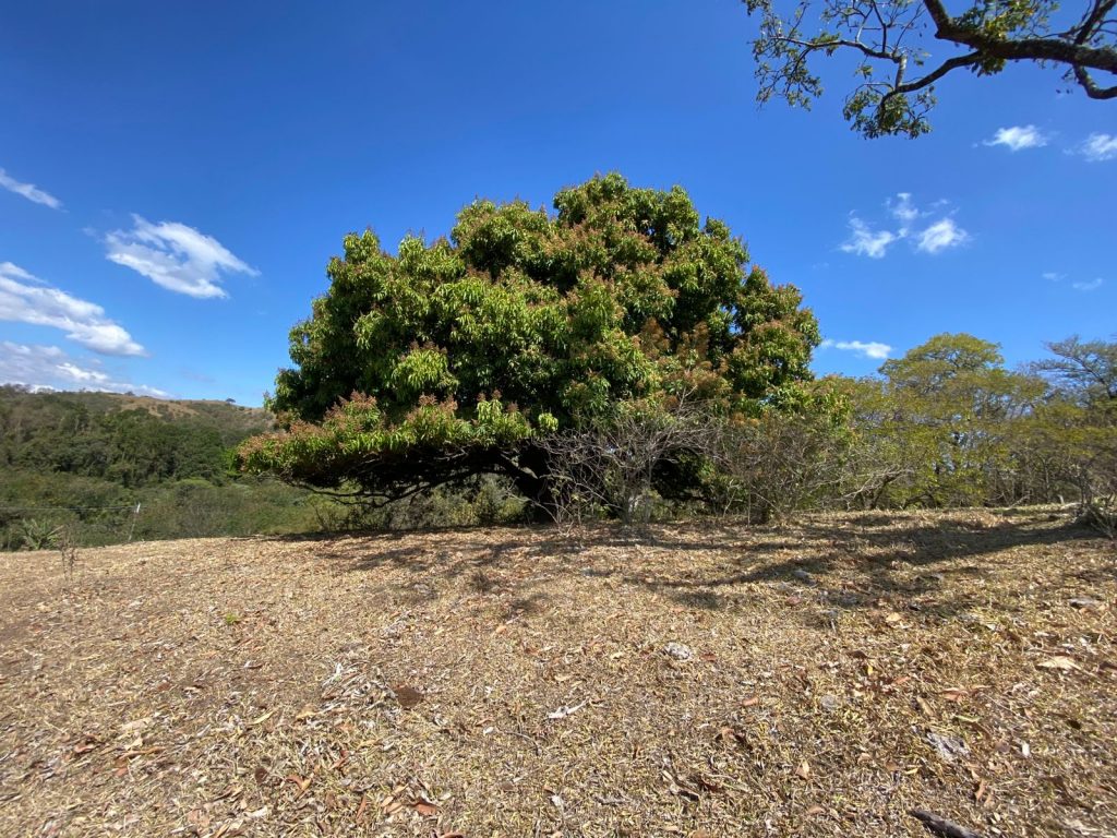 Área residencial e comercial 53.000m² – Brigadeiro Tobias, cidade de Sorocaba /SP.