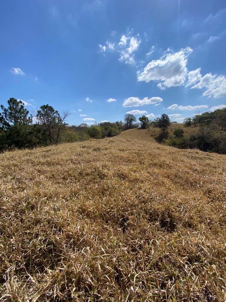 Área residencial e comercial 53.000m² – Brigadeiro Tobias, cidade de Sorocaba /SP.