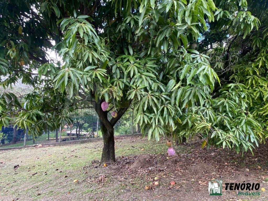 Chácara Recanto dos Pássaros 5.000,00m² – divisa de Sorocaba e Alumínio.